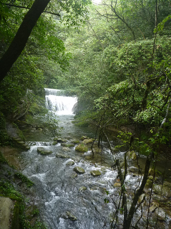 p1070555_.jpg