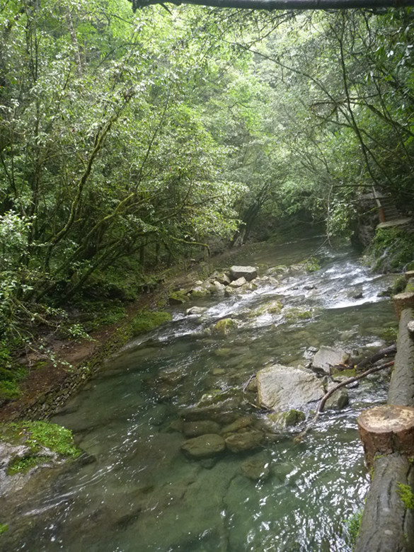 p1070556_.jpg