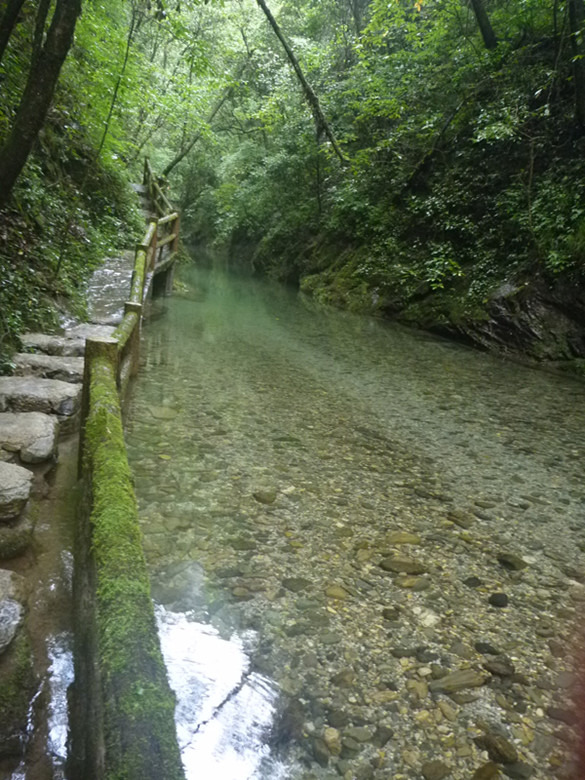 p1070559_.jpg