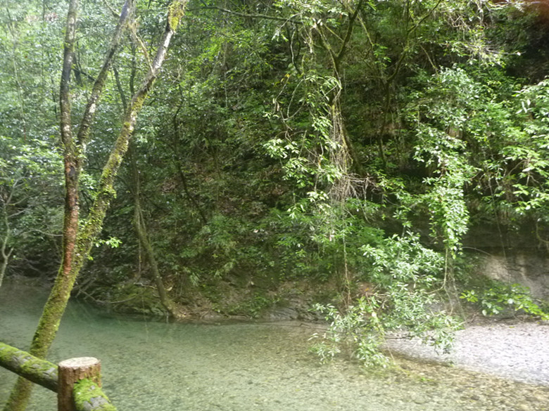 p1070558_.jpg