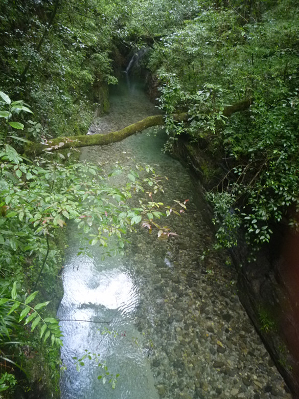 p1070561_.jpg