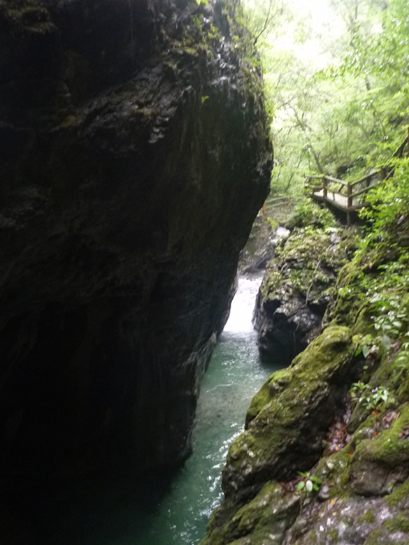 p1070562_.jpg