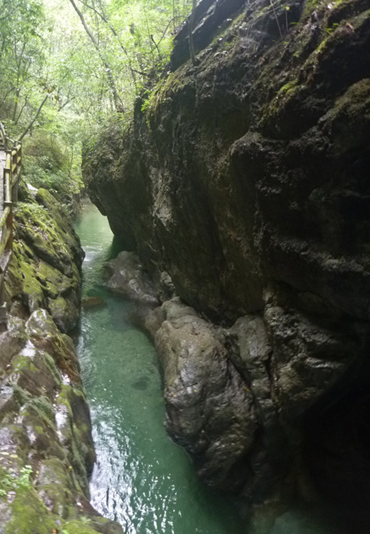 p1070563_.jpg