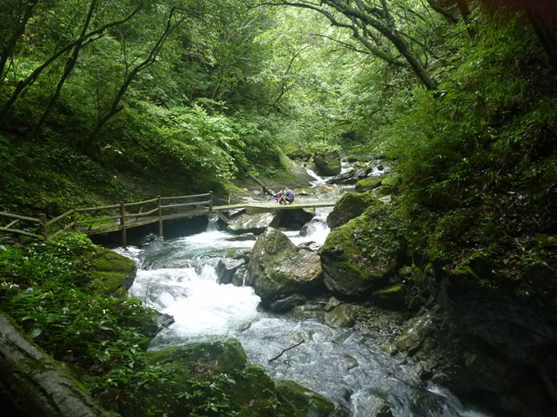 p1070573_.jpg