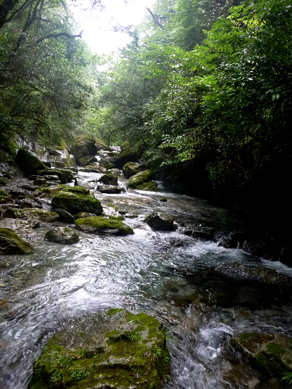 p1070580_.jpg