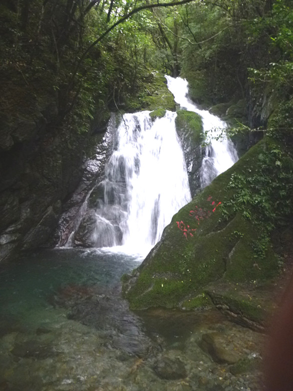 p1070575_.jpg