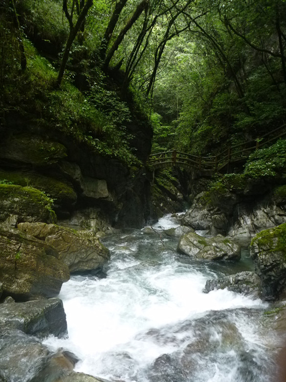 p1070574_.jpg