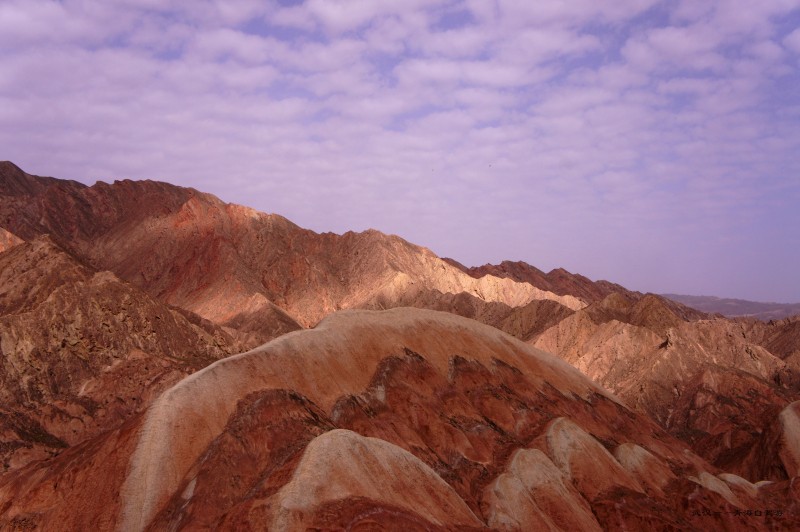 conew_dsc07154n.jpg