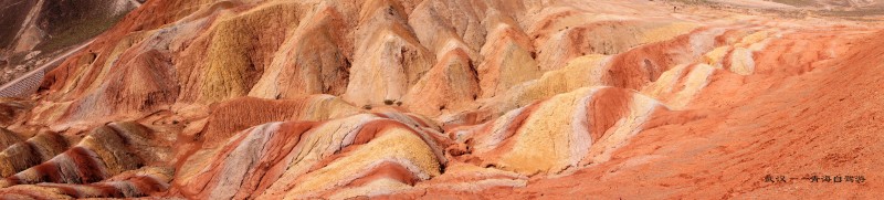 conew_dsc07249n.jpg