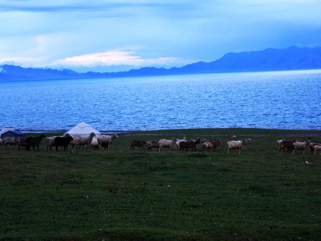 img_3644.jpg