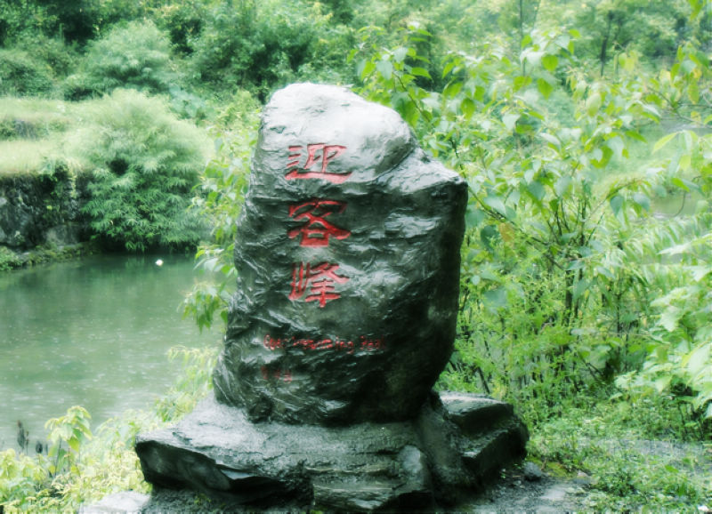 dsc07281.jpg