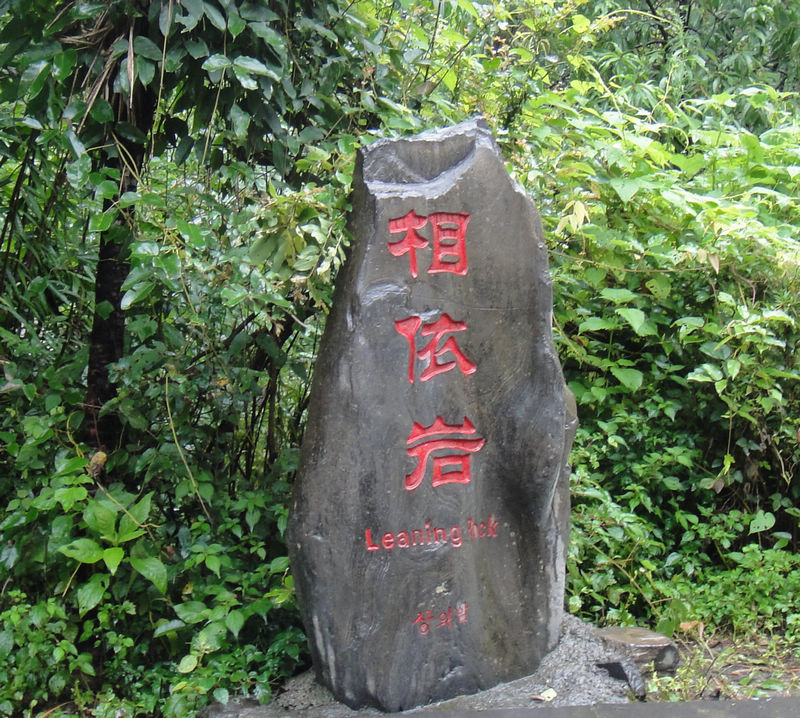 dsc07291.jpg