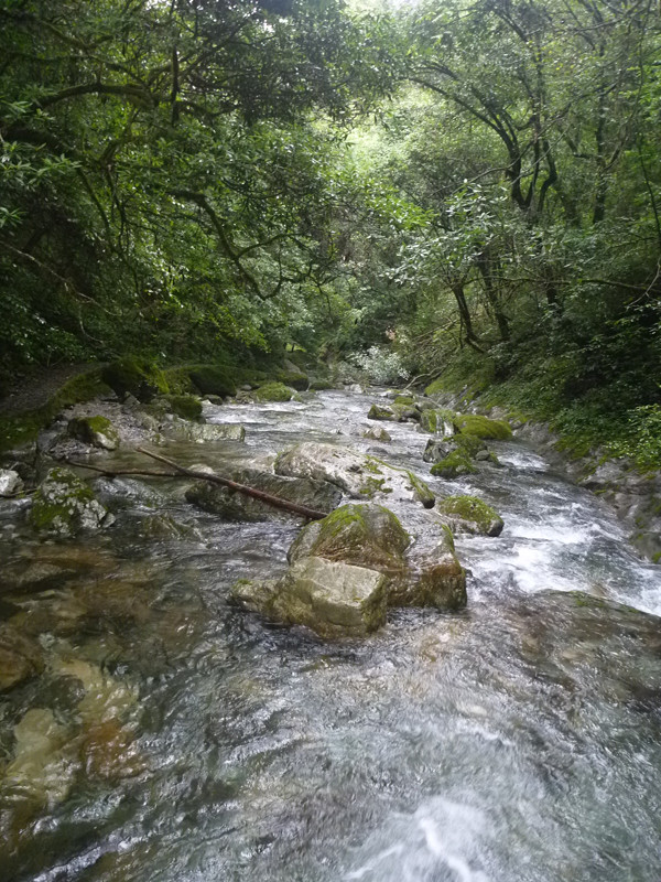 p1070581_.jpg