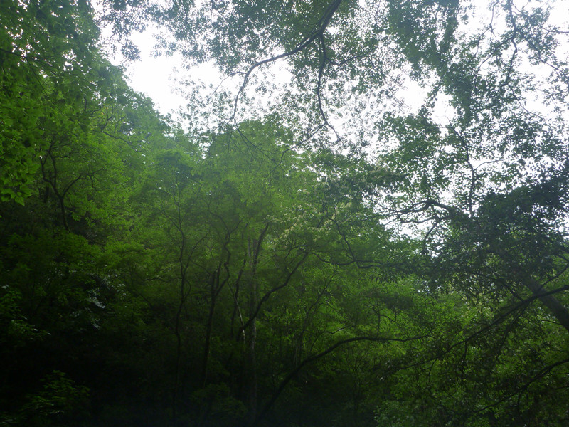 p1070583_.jpg