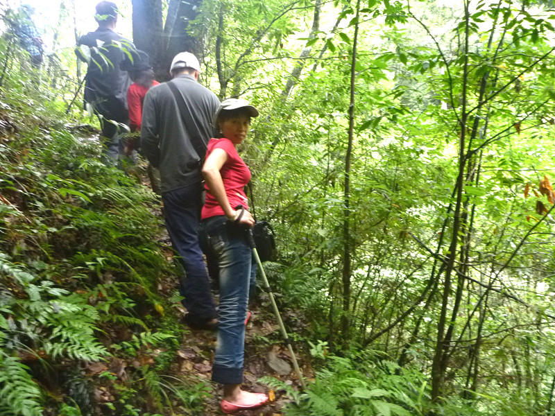 p1070585_.jpg
