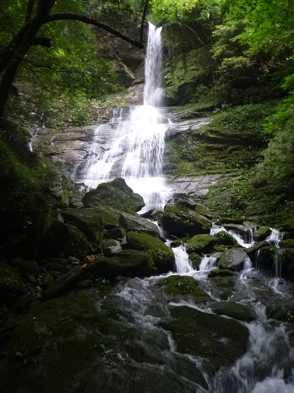 p1070587_.jpg