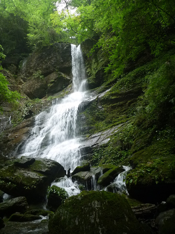 p1070590_.jpg