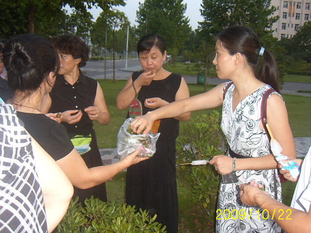 suc40012.jpg