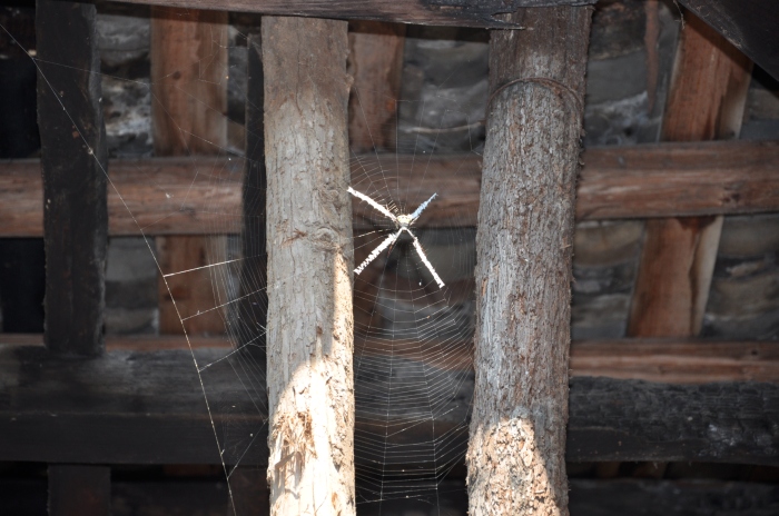 dsc_0071.jpg