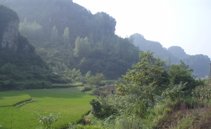 p8130567.jpg