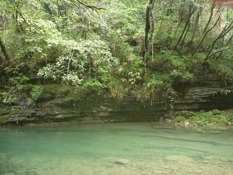 p1070554_.jpg