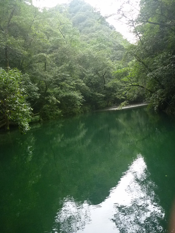 p1070596_.jpg