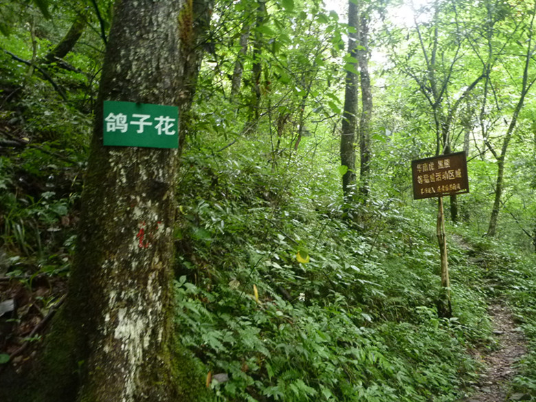 p1070593_.jpg