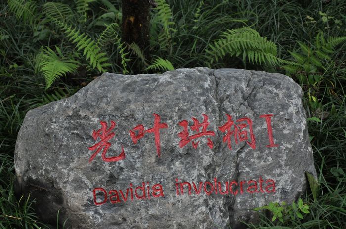 dsc_0450.jpg
