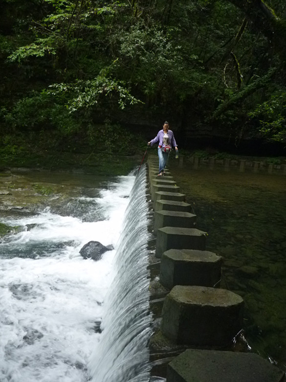 p1070598_.jpg