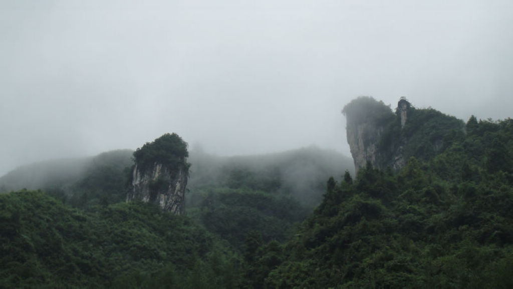 dsc07263.jpg
