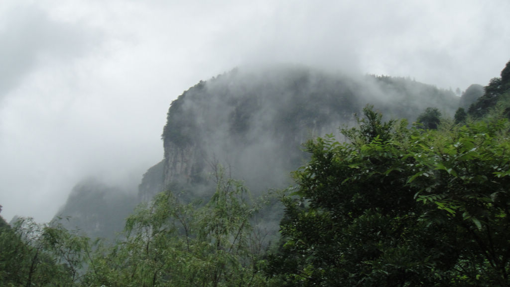 dsc07290.jpg