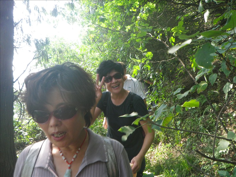 imgp0907.jpg