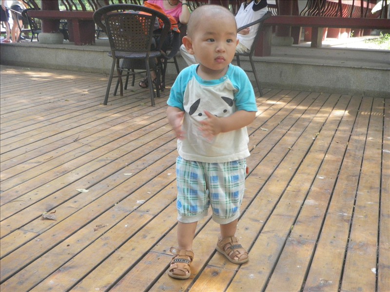 imgp0913.jpg