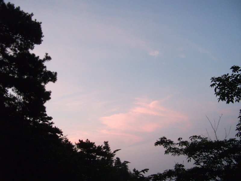 dscf1562.jpg