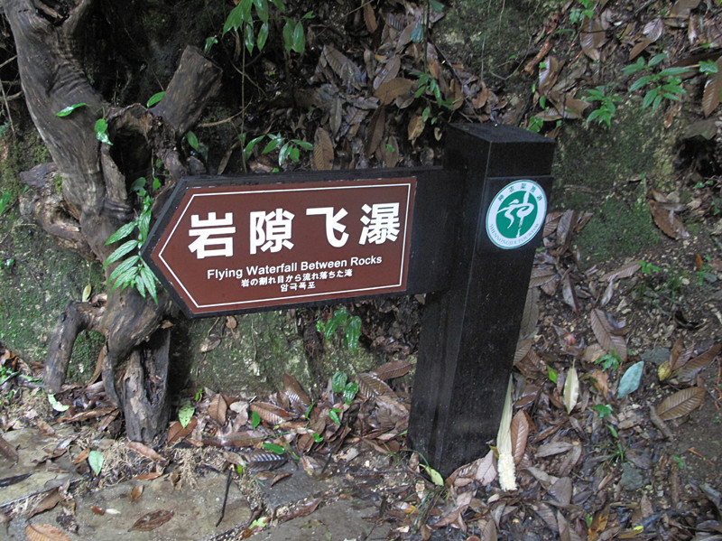 img_2825_.jpg