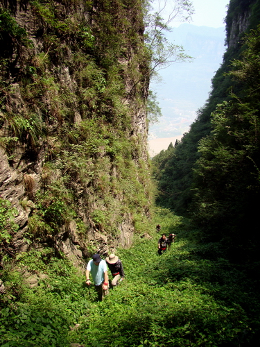 dsc09776.jpg