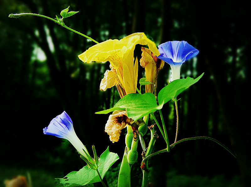 dscn9759_.jpg