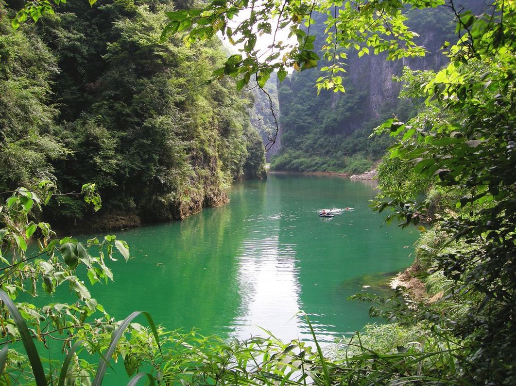 p1.jpg