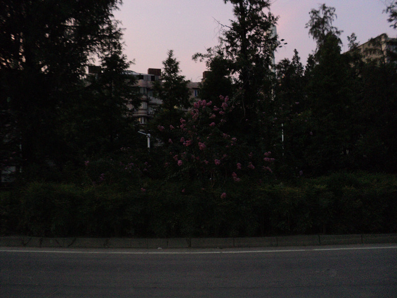 dsc05717_.jpg