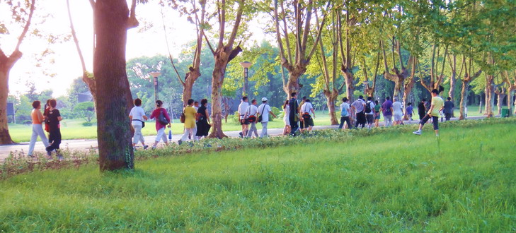 dsc04727.jpg