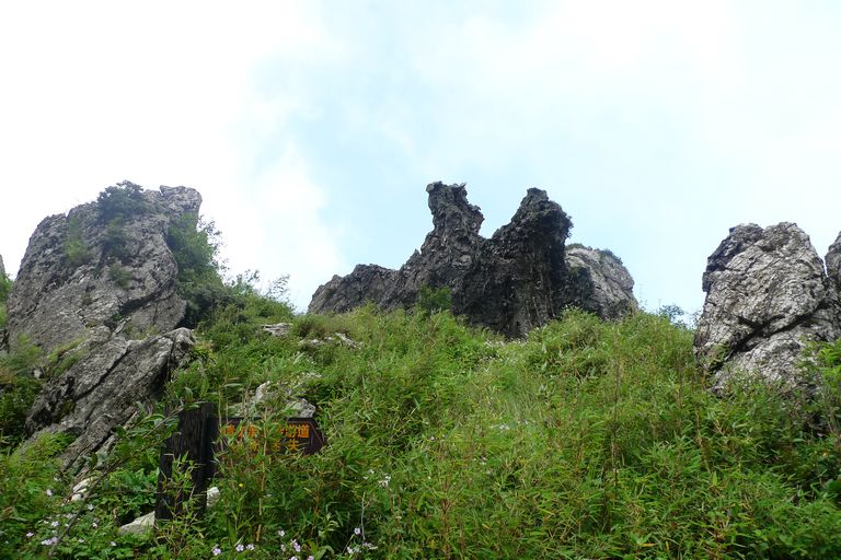 p1080131.jpg