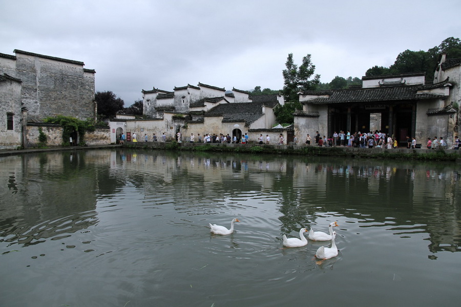 zls15,1.jpg