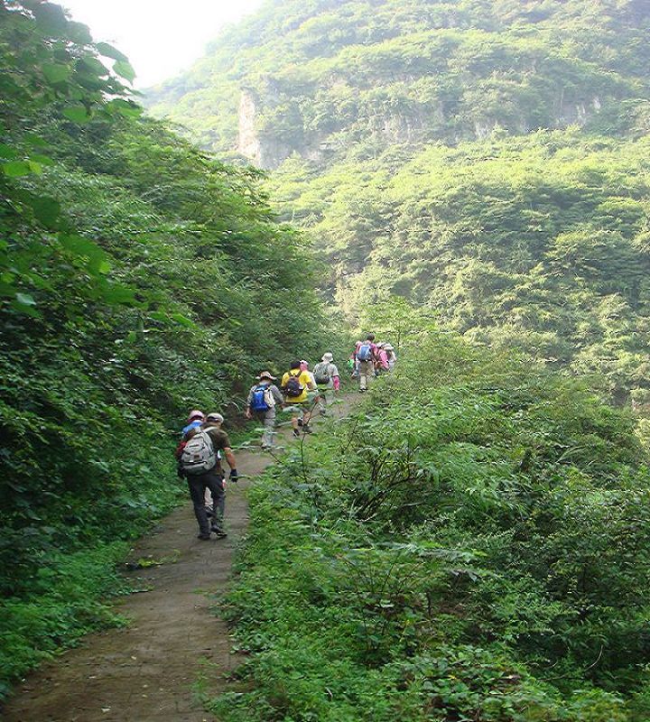 dsc05009.jpg