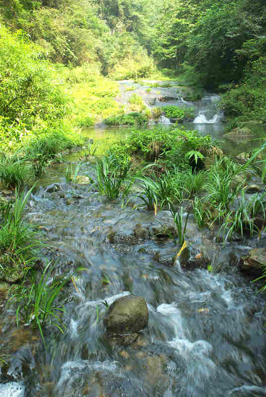 dsco5096.jpg