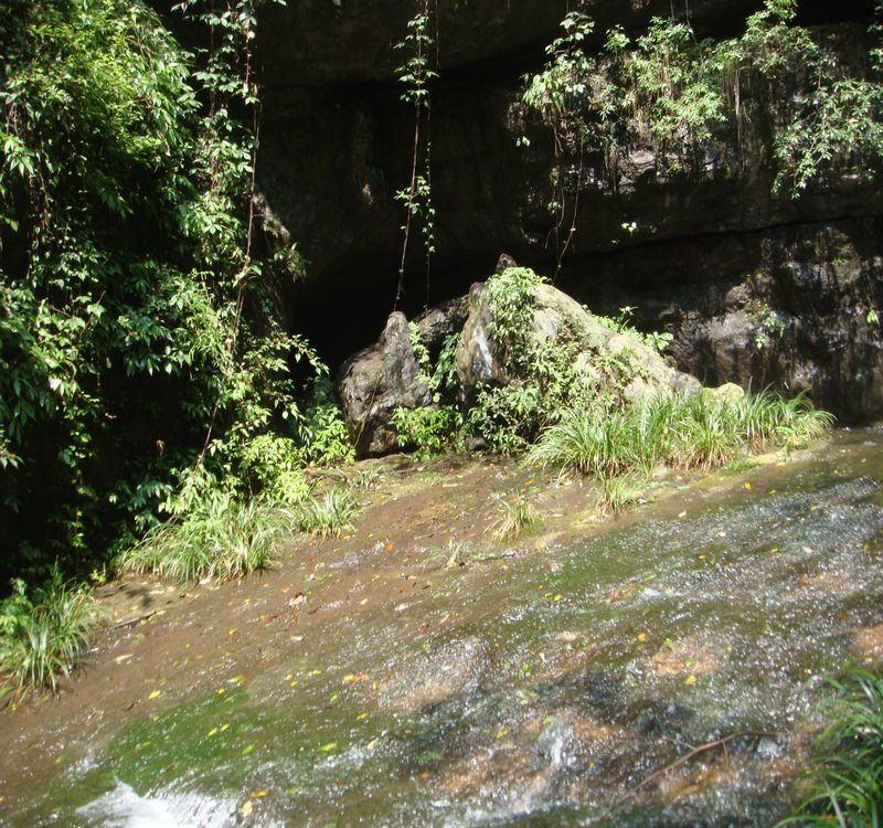 dsc05049.jpg