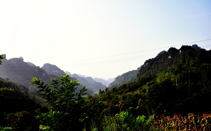dsc_0001.jpg