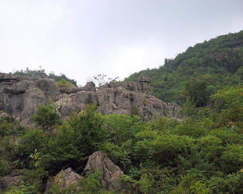 dsc_0784ps3.jpg