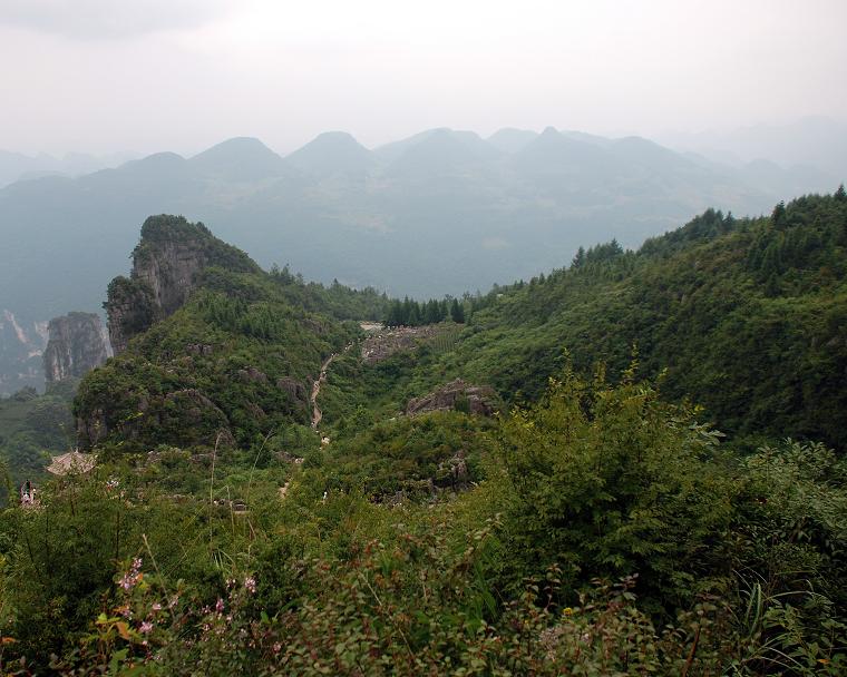 dsc_0797ps-4.jpg