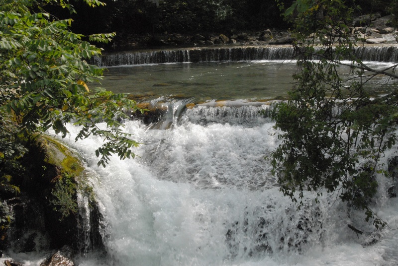 dsc_0448.jpg