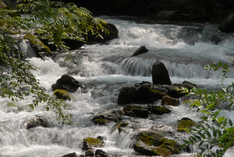 dsc_0436.jpg